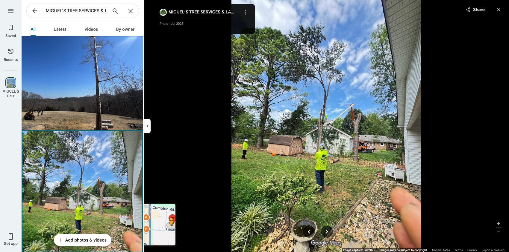 A Guide to Common Tree Species in Murfreesboro, TN: Care Tips from Local Arborists