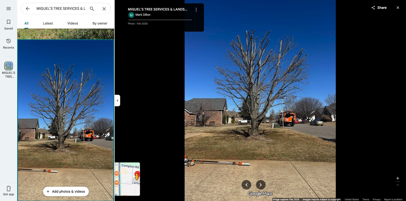 When to Remove vs. Trim a Tree: A Murfreesboro Homeowner's Guide